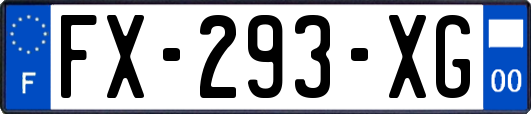 FX-293-XG