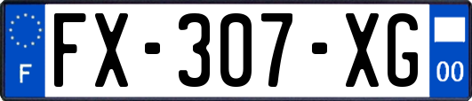 FX-307-XG