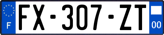 FX-307-ZT