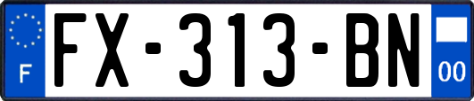 FX-313-BN