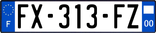 FX-313-FZ