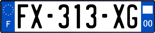 FX-313-XG