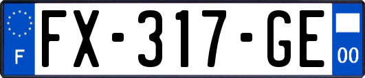 FX-317-GE