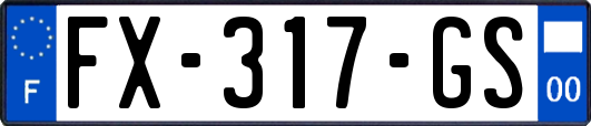 FX-317-GS