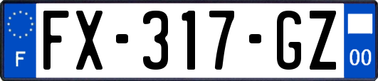 FX-317-GZ