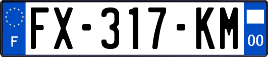 FX-317-KM