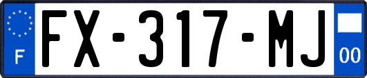 FX-317-MJ
