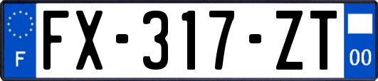 FX-317-ZT