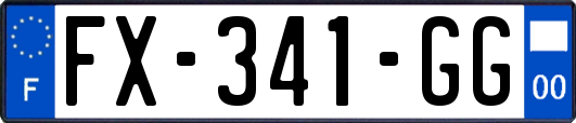 FX-341-GG