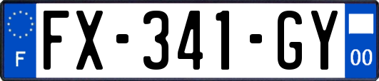 FX-341-GY
