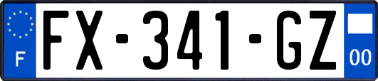 FX-341-GZ