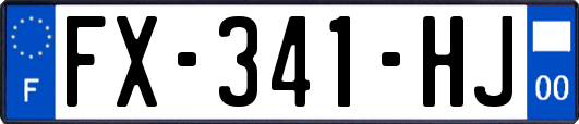 FX-341-HJ