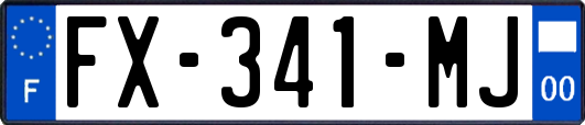 FX-341-MJ