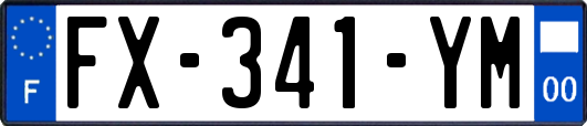FX-341-YM