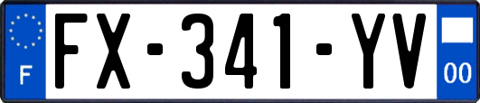 FX-341-YV