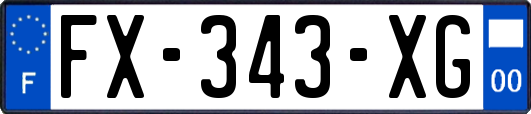 FX-343-XG