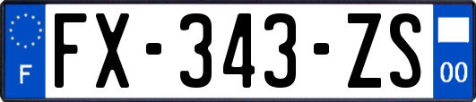 FX-343-ZS