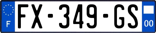 FX-349-GS