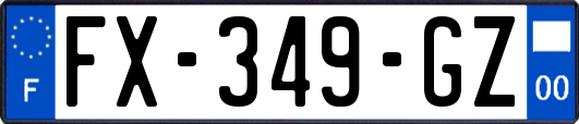 FX-349-GZ