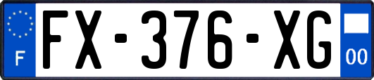 FX-376-XG
