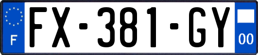 FX-381-GY