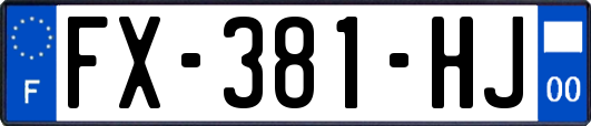 FX-381-HJ