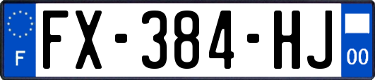 FX-384-HJ