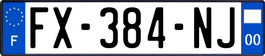 FX-384-NJ