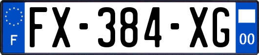 FX-384-XG