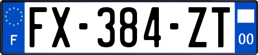 FX-384-ZT