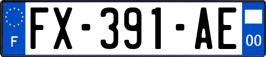 FX-391-AE