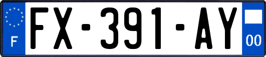 FX-391-AY