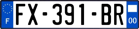 FX-391-BR