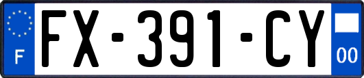 FX-391-CY