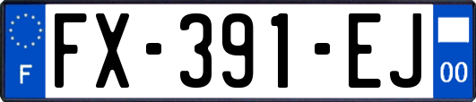 FX-391-EJ