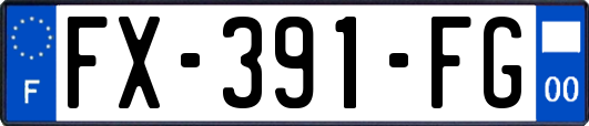 FX-391-FG