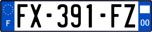 FX-391-FZ