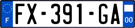 FX-391-GA