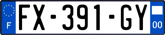 FX-391-GY
