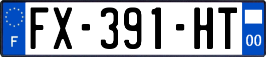 FX-391-HT