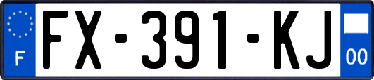 FX-391-KJ