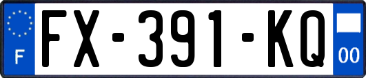 FX-391-KQ