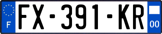 FX-391-KR