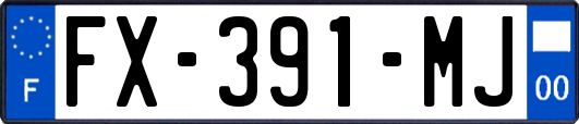 FX-391-MJ