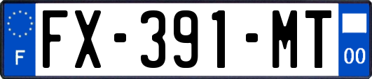 FX-391-MT