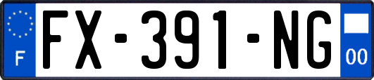 FX-391-NG