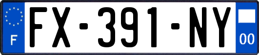 FX-391-NY