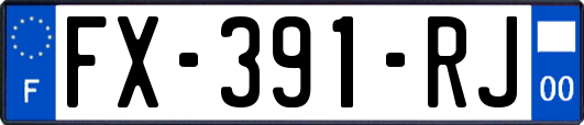 FX-391-RJ