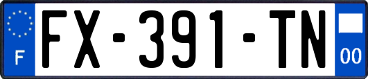 FX-391-TN
