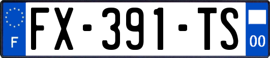 FX-391-TS